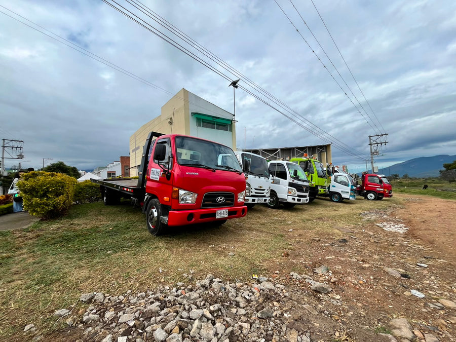 Parque Automotor